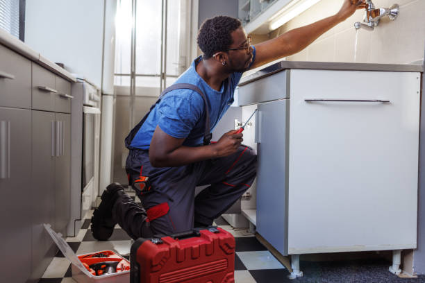 Best Clogged Drain Plumber  in Fredonia, WI